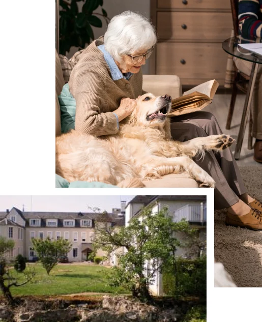 activités résidence séniors à Corbigny dans la Nièvre 58